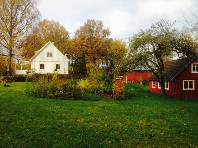 Tillbaka till rötterna