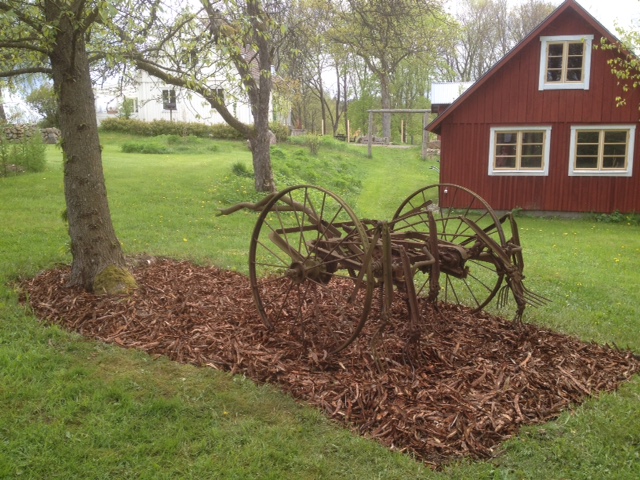 Hövändare som trädgårdsinstallation