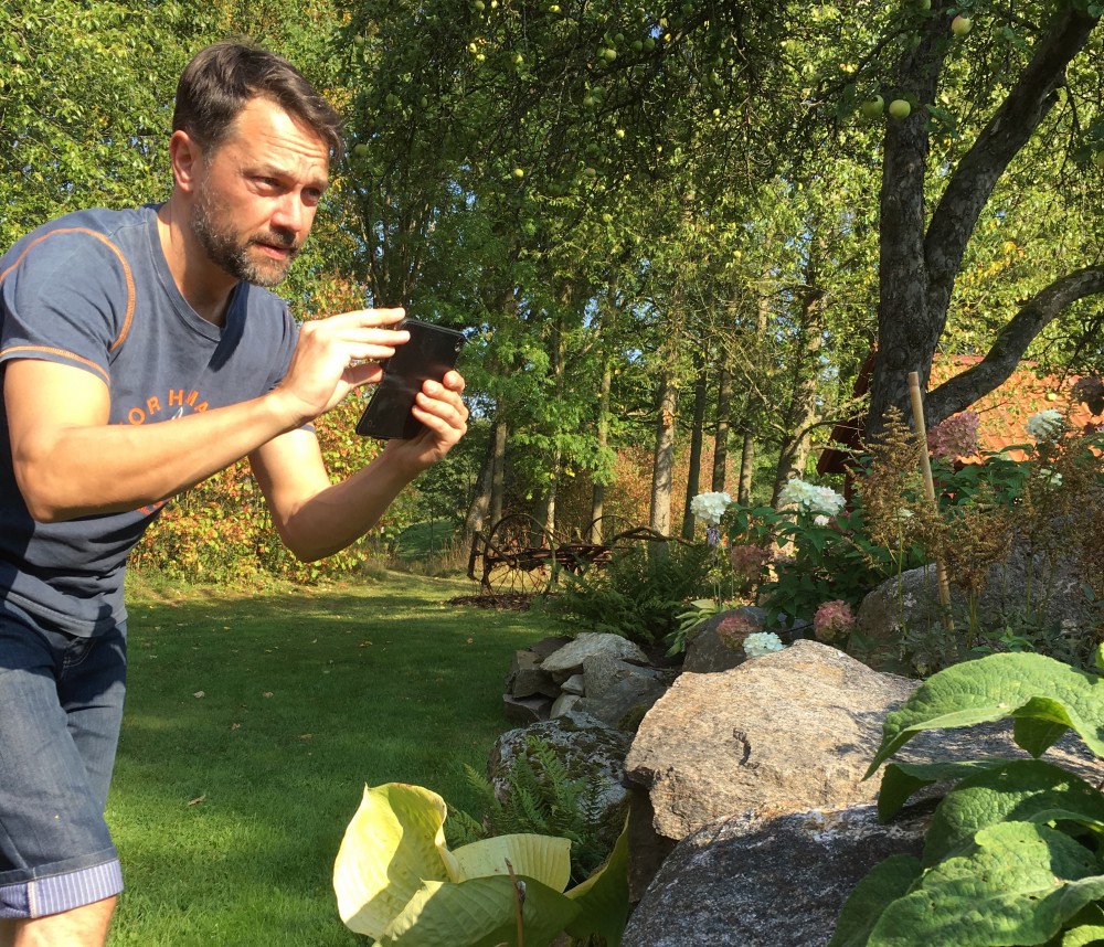 Hög tid att fotografera trädgården